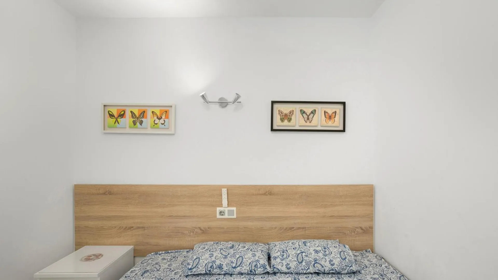 公寓 El Nido De Los Angeles Apartamentos 普拉亚戴尔雷安格莱斯
